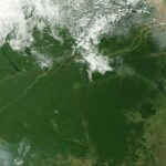Vista satelital de la selva amazónica