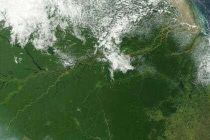 Vista satelital de la selva amazónica