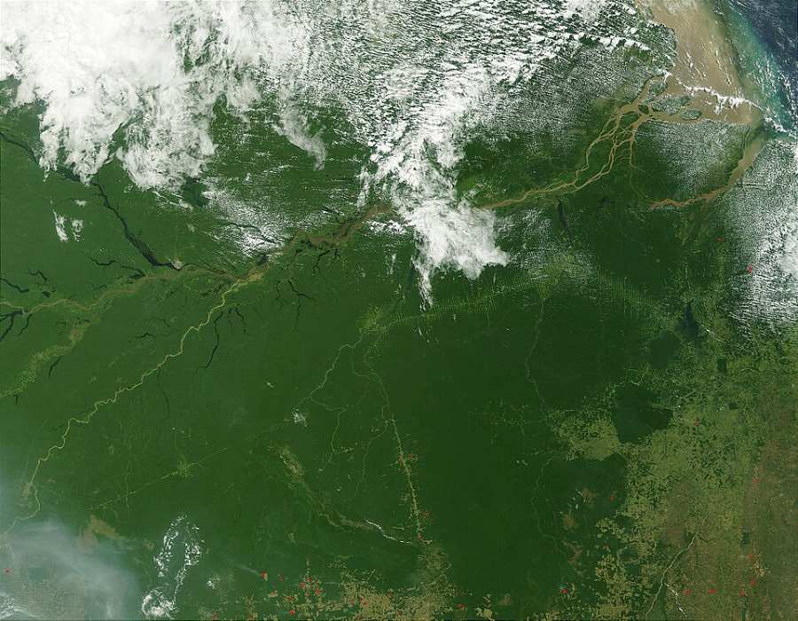 Vista satelital de la selva amazónica
