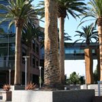 Campus de Google en Mountain View California