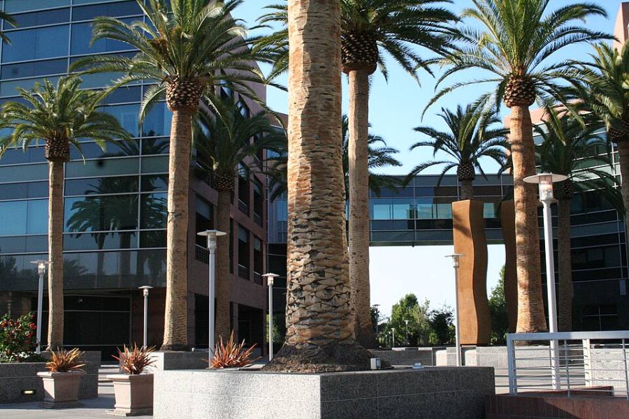 Campus de Google en Mountain View California