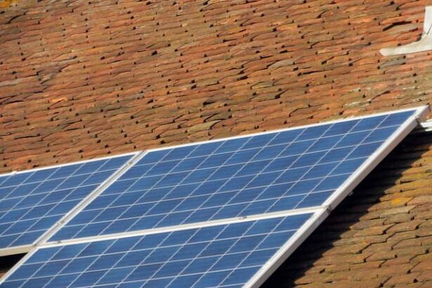 Paneles solares fotovoltaicos en campo abierto